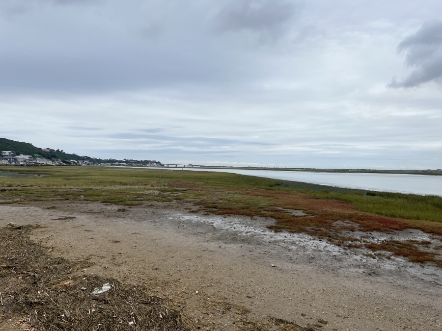0 Bedroom Property for Sale in Amsterdamhoek Eastern Cape